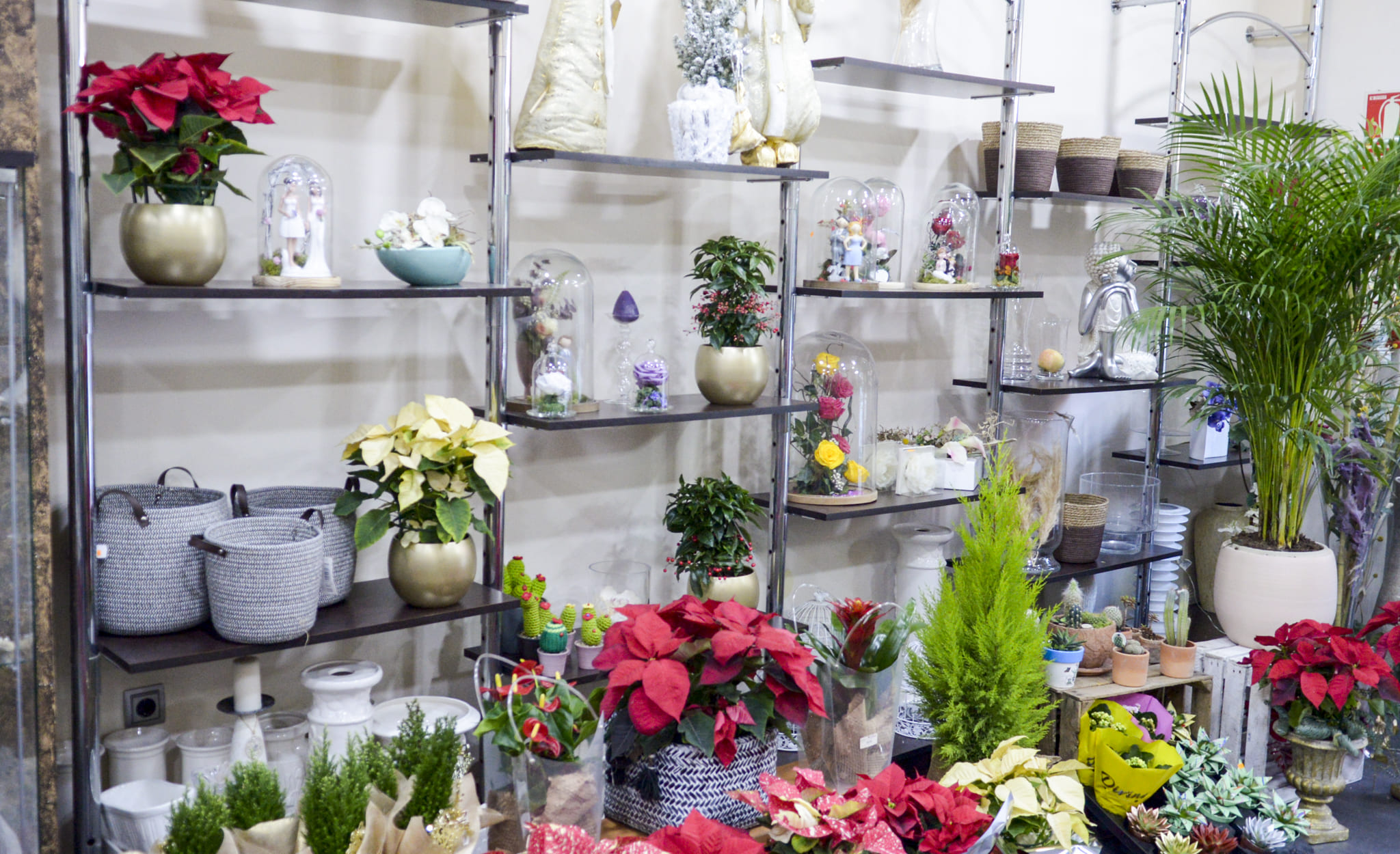 Floristeria Vanesa (2)