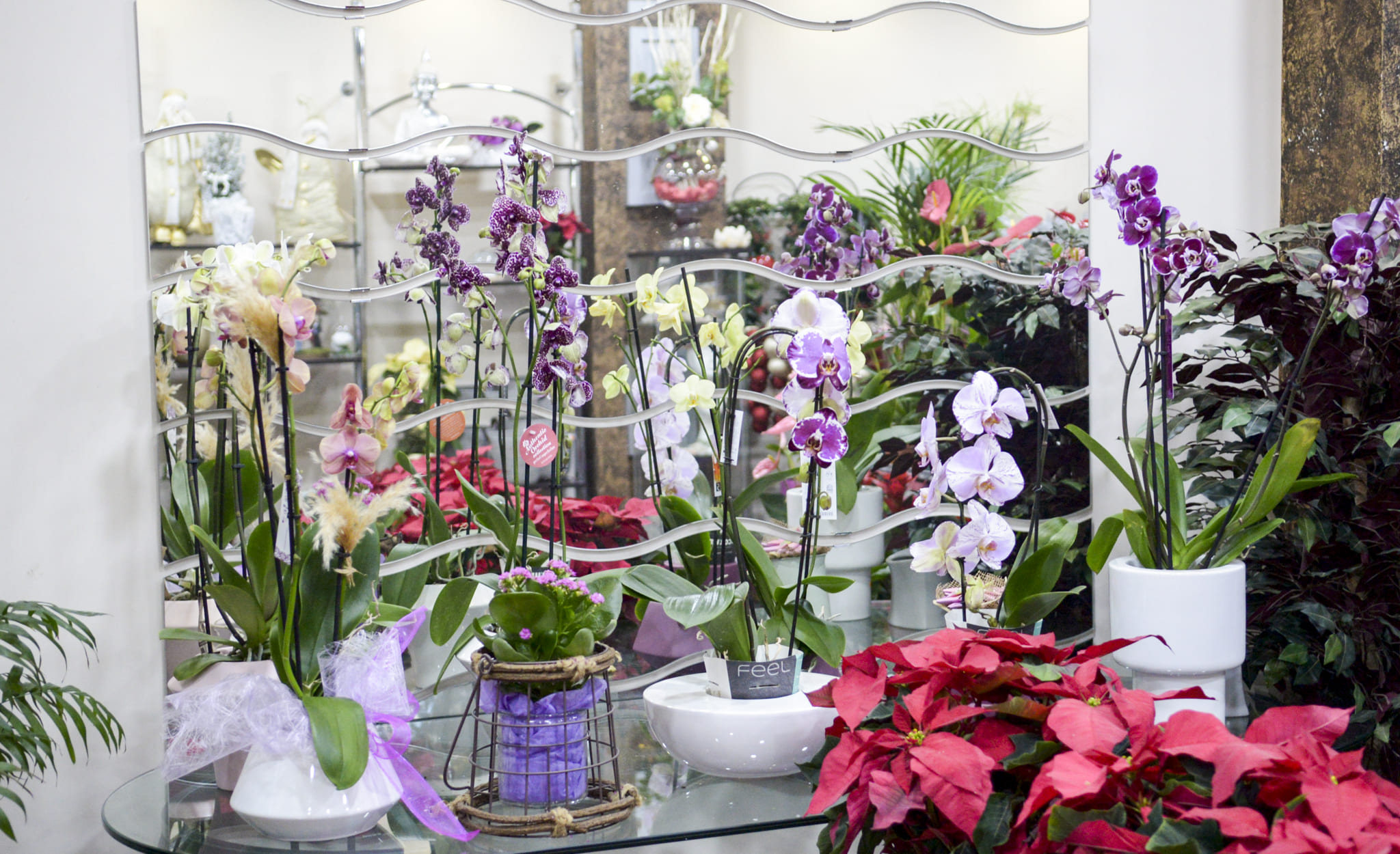 Floristeria Vanesa (4)