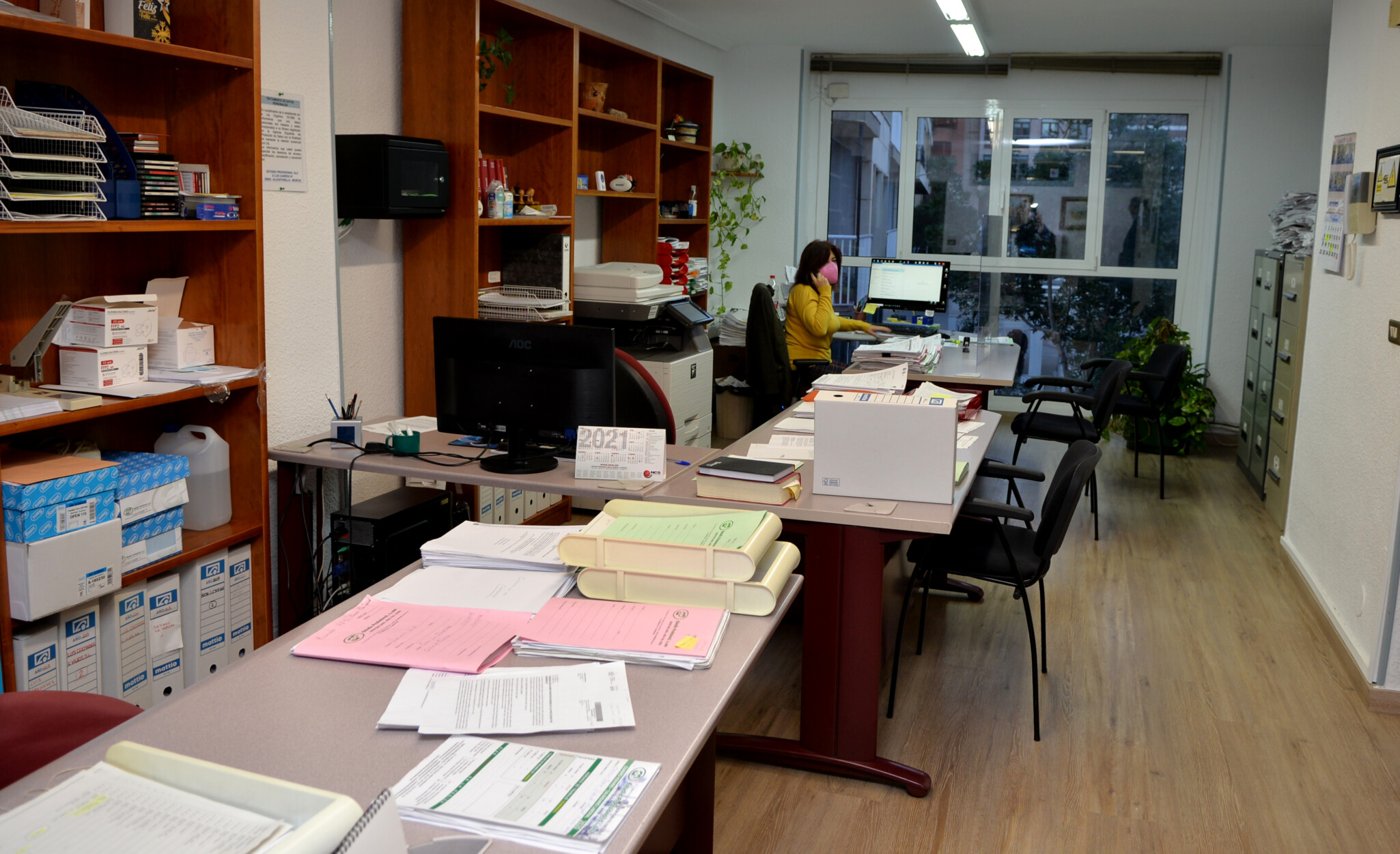 Estudio Profesional (4)